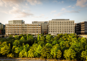 maker and faber office buildings near a group of trees